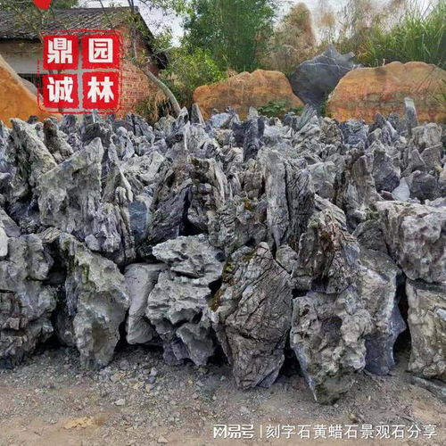 英石假山盆景附树石造景设计