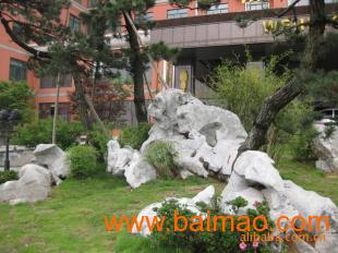 承接假山景观施工 专业生产与合理价格解析