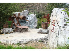 甘肃园林景观工程 景观假山选购指南