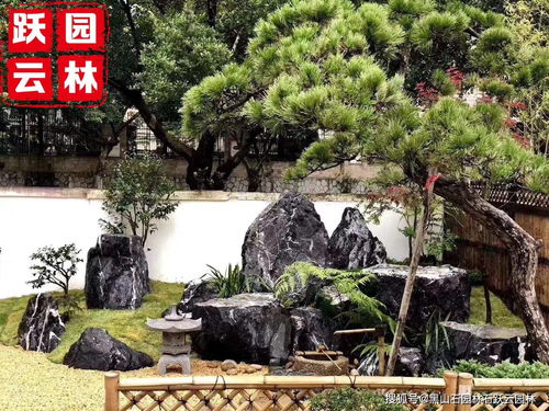 庭院假山景观设计 黑山石的造景艺术