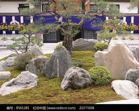 假山植物景观 自然与人工的完美融合