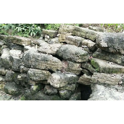 景观假山艺术 龟纹石的独特魅力